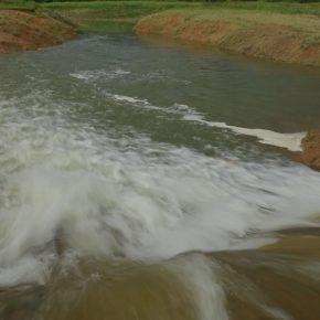 DSC00748 resize 290x290 - JZERU JE, JZERA NEJ