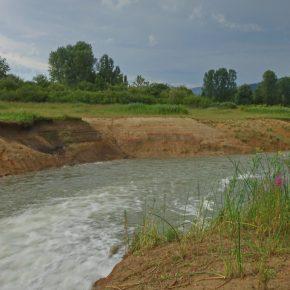 DSC00751 resize 290x290 - JZERU JE, JZERA NEJ