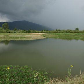 DSC00757 resize 290x290 - JZERU JE, JZERA NEJ