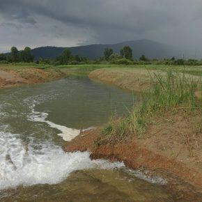 DSC00762 resize 290x290 - JZERU JE, JZERA NEJ