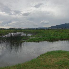 DSC00772 resize 290x290 - JZERU JE, JZERA NEJ