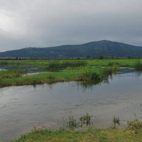 DSC00775 resize 290x290 - JZERU JE, JZERA NEJ