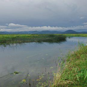 DSC00776 resize 290x290 - JZERU JE, JZERA NEJ