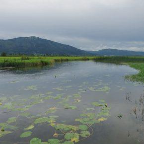 DSC00779 resize 290x290 - JZERU JE, JZERA NEJ