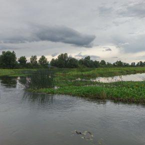 DSC00781 resize 290x290 - JZERU JE, JZERA NEJ