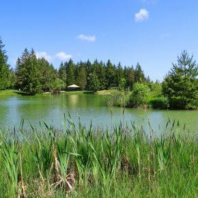 DSC02816 290x290 - BREZPLAČEN RIBOLOV &Scaron;ČUKE ZA ČLANE RD