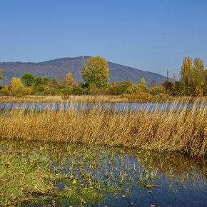 DSC04304 resize 290x290 - JESENSKO JEZERO V VSEJ SVOJI LEPOTI