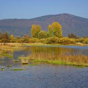 DSC04325 resize 290x290 - JESENSKO JEZERO V VSEJ SVOJI LEPOTI