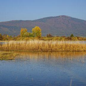 DSC04338 resize 290x290 - JESENSKO JEZERO V VSEJ SVOJI LEPOTI