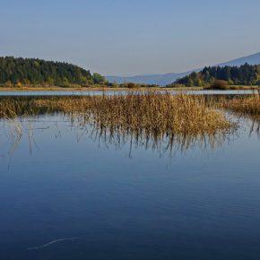 DSC04346 resize 290x290 - JESENSKO JEZERO V VSEJ SVOJI LEPOTI