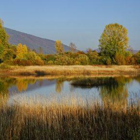 DSC04362 resize 290x290 - JESENSKO JEZERO V VSEJ SVOJI LEPOTI