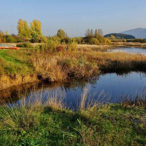 DSC04370 resize 290x290 - JESENSKO JEZERO V VSEJ SVOJI LEPOTI