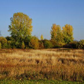 DSC04374 resize 290x290 - JESENSKO JEZERO V VSEJ SVOJI LEPOTI