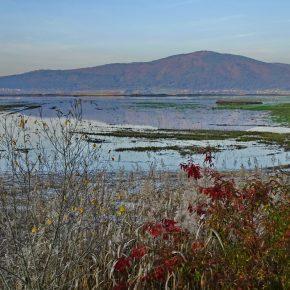 DSC04386 resize 290x290 - JESENSKO JEZERO V VSEJ SVOJI LEPOTI
