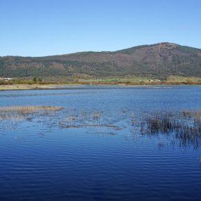 DSC05056 290x290 - JEZERO SPET ZALITO