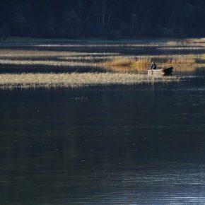 DSC05058 290x290 - JEZERO SPET ZALITO