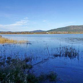 DSC05063 290x290 - JEZERO SPET ZALITO