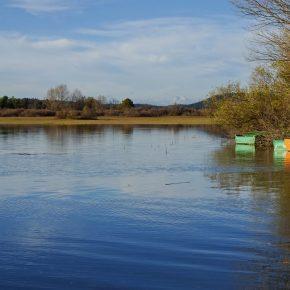 DSC05067 290x290 - JEZERO SPET ZALITO