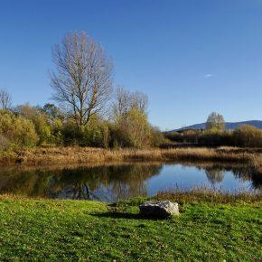 DSC05069 290x290 - JEZERO SPET ZALITO