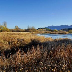 DSC05070 290x290 - JEZERO SPET ZALITO