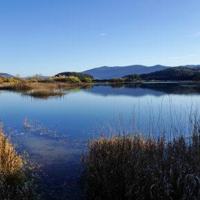 DSC05071 290x290 - JEZERO SPET ZALITO
