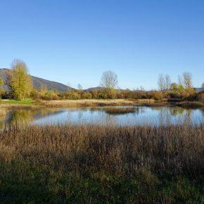 DSC05072 290x290 - JEZERO SPET ZALITO