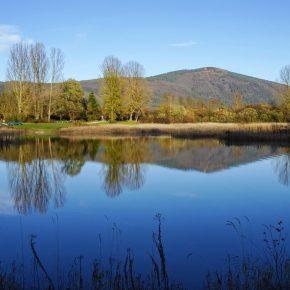 DSC05075 290x290 - JEZERO SPET ZALITO