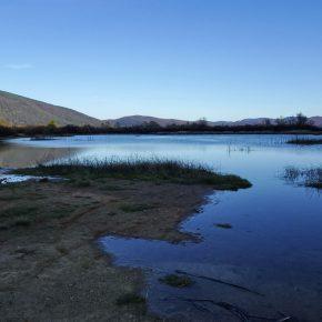DSC05078 290x290 - JEZERO SPET ZALITO