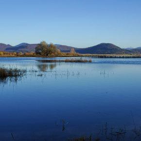 DSC05083 290x290 - JEZERO SPET ZALITO