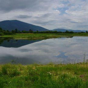 DSC00168 resize 290x290 - JEZERO SE PRAZNI