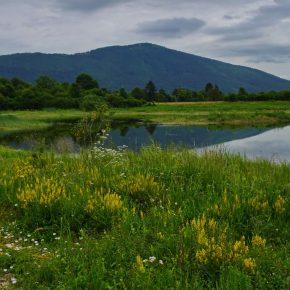 DSC00170 resize 290x290 - JEZERO SE PRAZNI