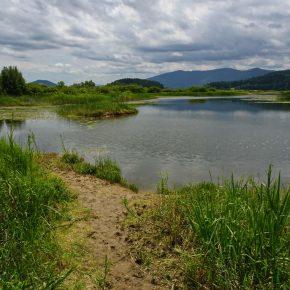 DSC00180 resize 290x290 - JEZERO SE PRAZNI
