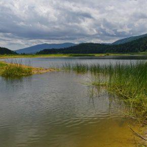 DSC00191 resize 290x290 - JEZERO SE PRAZNI