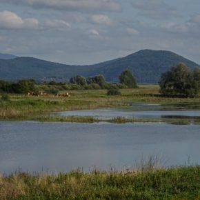 DSC02462 resize 290x290 - VODOSTAJ POČASI UPADA