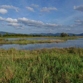 DSC02463 resize 290x290 - VODOSTAJ POČASI UPADA