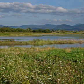 DSC02472 resize 290x290 - VODOSTAJ POČASI UPADA