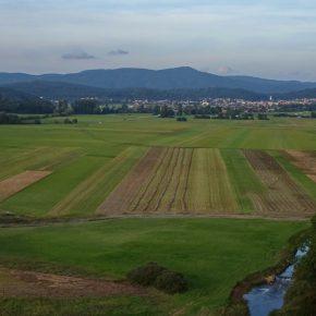 DSC02478 resize 290x290 - VODOSTAJ POČASI UPADA