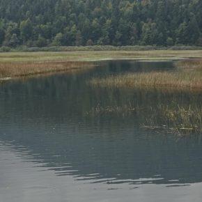 DSC02487 resize 290x290 - VODOSTAJ POČASI UPADA