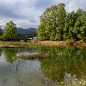 DSC03191 resize 290x290 - JEZERO SE POLNI