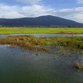 DSC03193 resize 290x290 - JEZERO SE POLNI