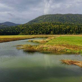 DSC03199 resize 290x290 - JEZERO SE POLNI