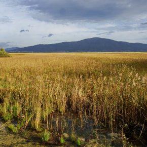 DSC03204 resize 290x290 - JEZERO SE POLNI