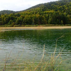 DSC03206 resize 290x290 - JEZERO SE POLNI