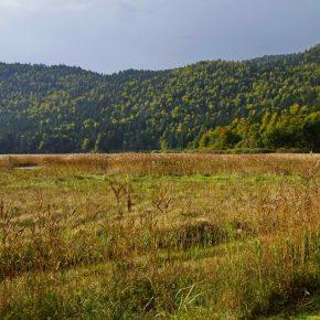 DSC03212 resize 290x290 - JEZERO SE POLNI