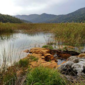 DSC03216 resize 290x290 - JEZERO SE POLNI