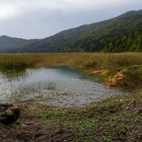 DSC03218 resize 290x290 - JEZERO SE POLNI