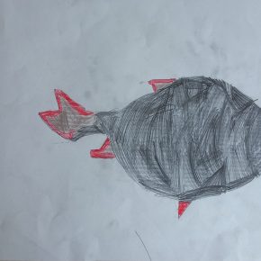 OS Cerknica  Klemen Jakob 2.m 290x290 - Natečaj nari&scaron;i ribo uspe&scaron;no zaključen