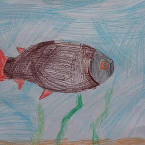 OS Cerknica Cesnik Rok 1.m 290x290 - Natečaj nari&scaron;i ribo uspe&scaron;no zaključen