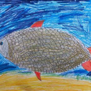 OS Cerknica Gornik Rojko Ema 1.m 290x290 - Natečaj nari&scaron;i ribo uspe&scaron;no zaključen