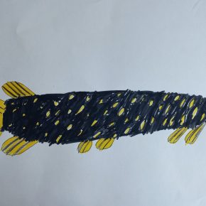 OS Cerknica Jelenc Crt 2.m 290x290 - Natečaj nari&scaron;i ribo uspe&scaron;no zaključen